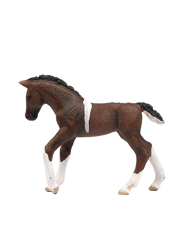 SCHLEICH Trakehner varsa - Lasten lelut - 10105431271 - 1