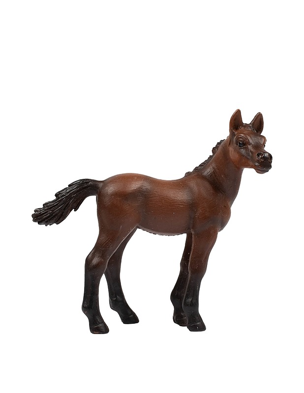 SCHLEICH Arabialainen varsa - Lasten lelut - 10105431278 - 0