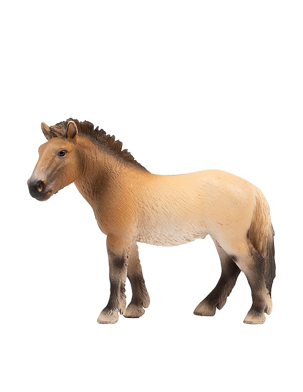 SCHLEICH Przewalskinhevonen - Lasten lelut - 10105431290 - 0