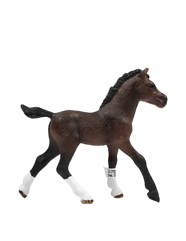 SCHLEICH Arabialainen varsa - Lasten lelut - 10105431293 - 0