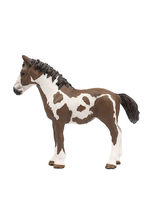 SCHLEICH Pinto nuori hevonen - Lasten lelut - 10105431299 - 1