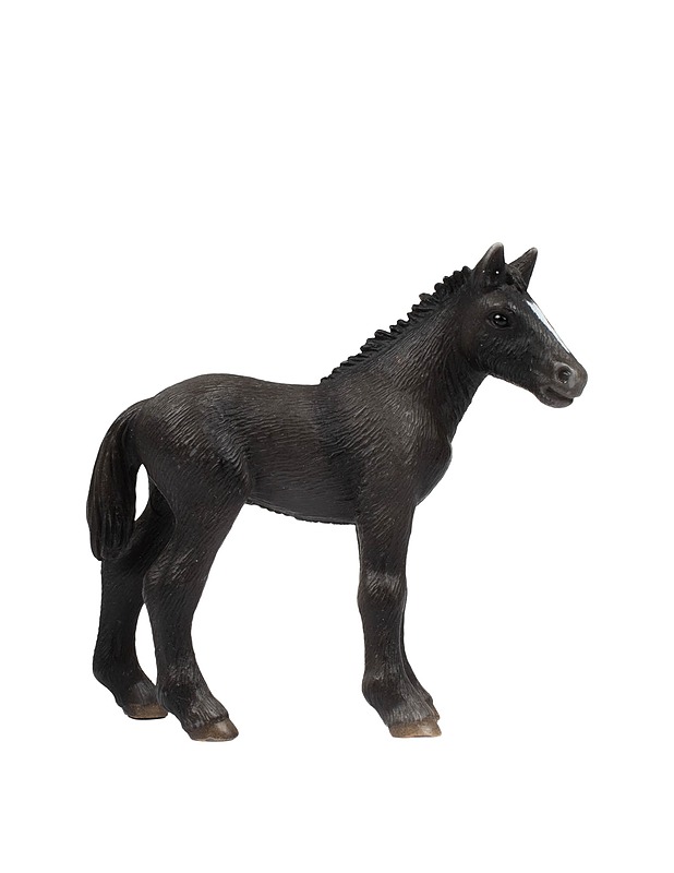 SCHLEICH Percheron varsa - Lasten lelut - 10105431315 - 0