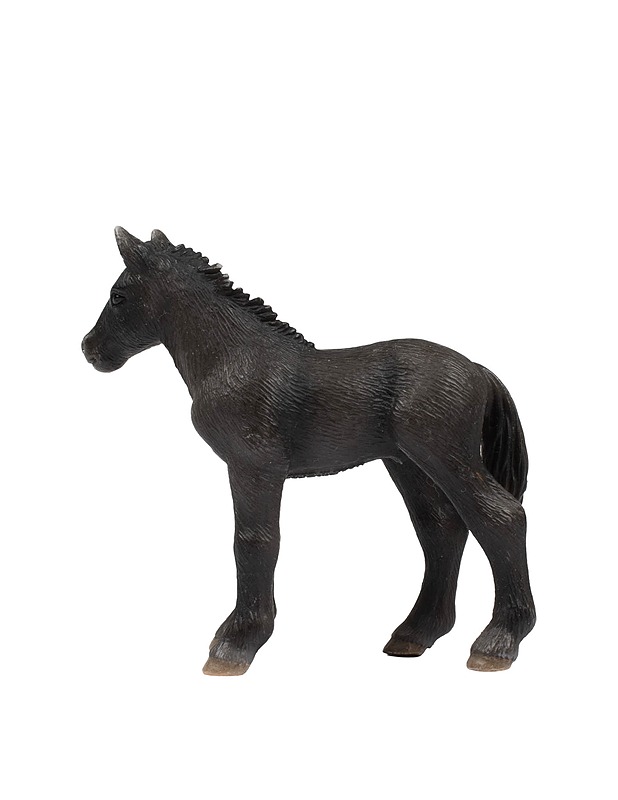 SCHLEICH Percheron varsa - Lasten lelut - 10105431315 - 1