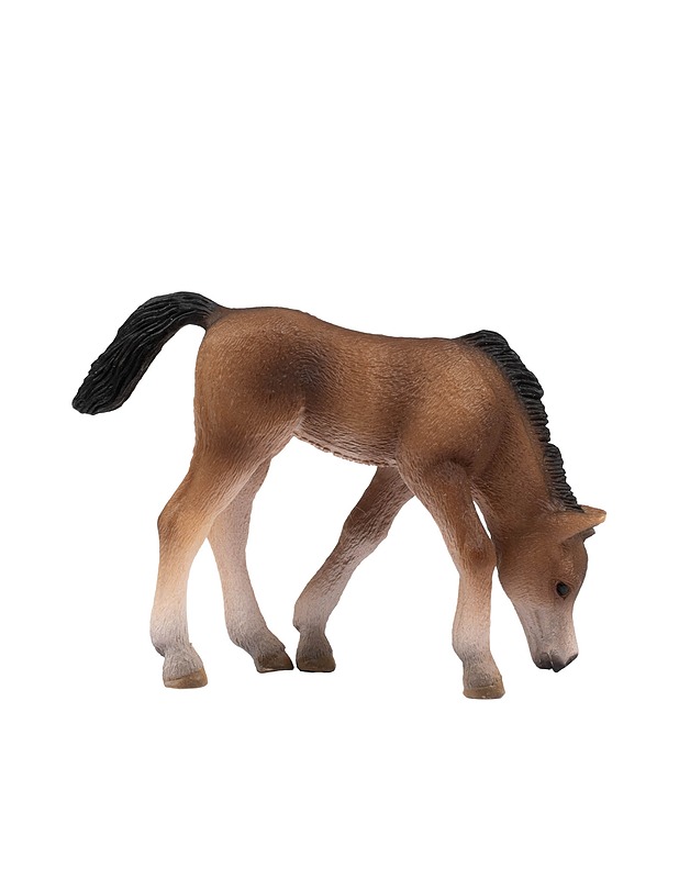 SCHLEICH Arabialainen varsa - Lasten lelut - 10105431340 - 0