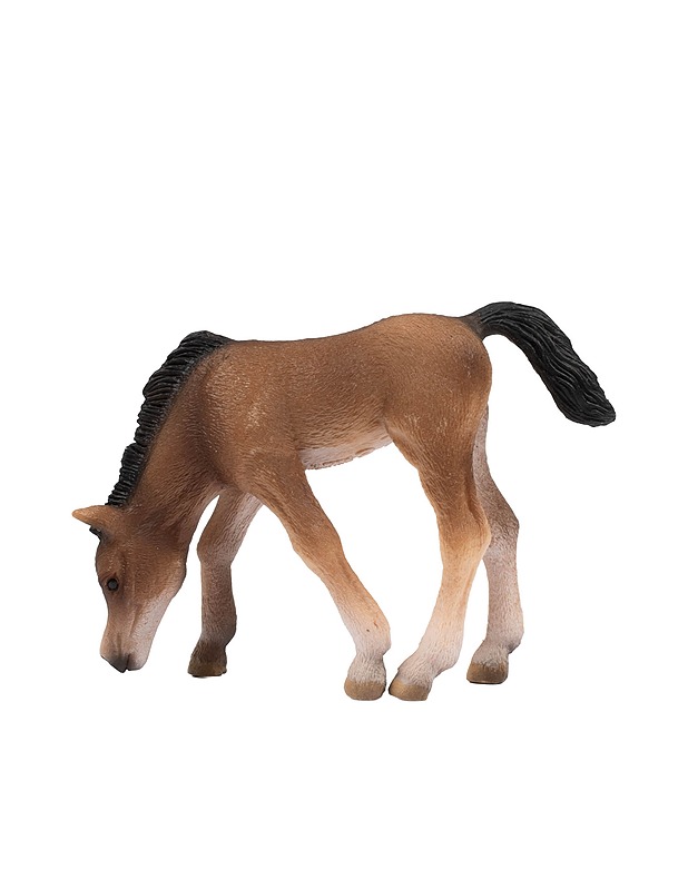 SCHLEICH Arabialainen varsa - Lasten lelut - 10105431340 - 1