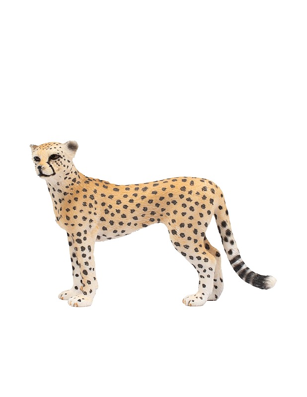 SCHLEICH gepardi - Lasten lelut - 10105431404 - 0