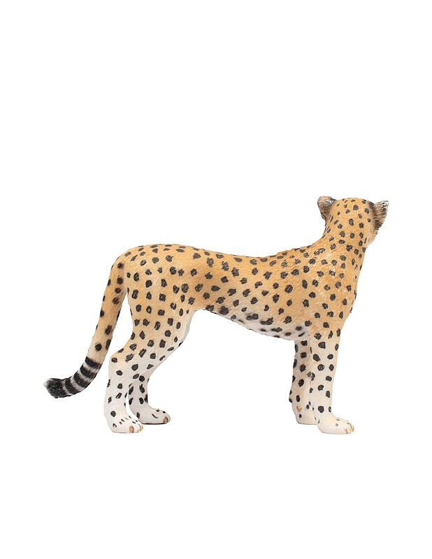 SCHLEICH gepardi - Lasten lelut - 10105431404 - 1