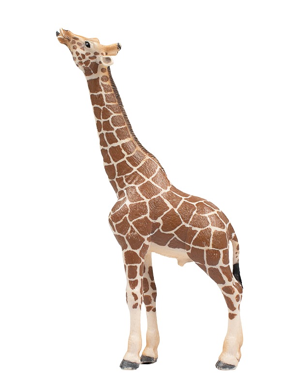 SCHLEICH kirahvi - Lasten lelut - 10105431439 - 1