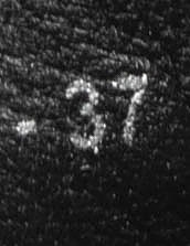 GEOX nilkkurit, 37 - Naisten nilkkurit ja saappaat - 10105431850 - 2