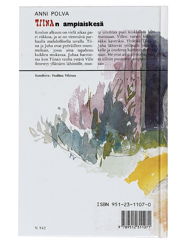 Tiinan ampiaiskesä - Anni Polva - Romaanit ja novellit - 10105431937 - 1