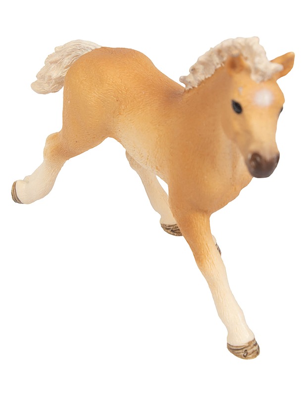 SCHLEICH Haflinger varsa - Lasten lelut - 10105432155 - 0