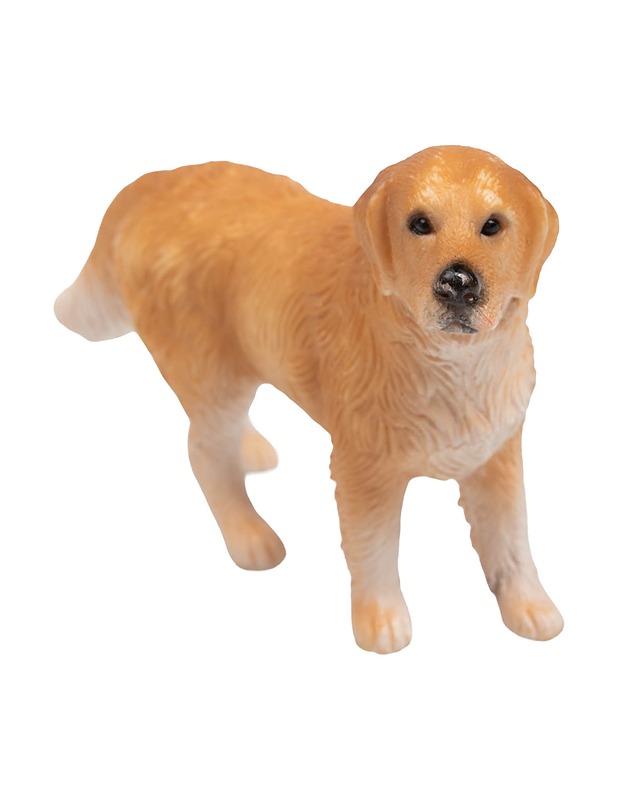 SCHLEICH kultainen noutaja, uros - Lasten lelut - 10105432163 - 0