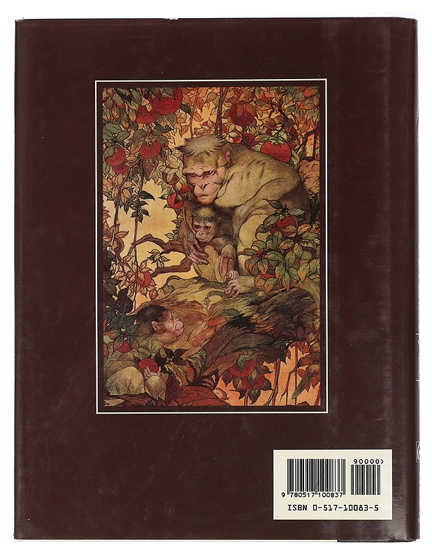 The Fables of Aesop by Aesop - Edward J Detmold - Taide- ja kulttuurikirjat - 10105432509 - 1