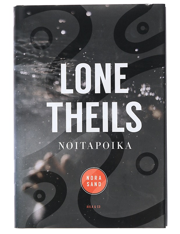 Noitapoika - Theils, Lone - Jännitys ja dekkarit - 10105432627 - 0