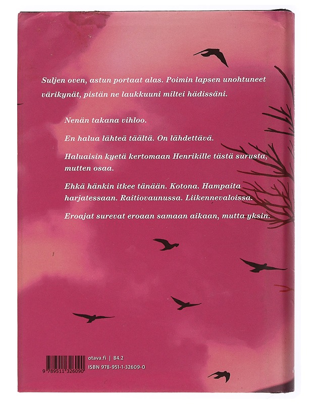 Lasten Planeetta - Riikka Pulkkinen - Romaanit ja novellit - 10105432794 - 1