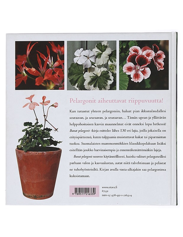 Ihanat pelargonit - Rosén, Susanna - Tietokirjat ja oppaat - 10105432842 - 1