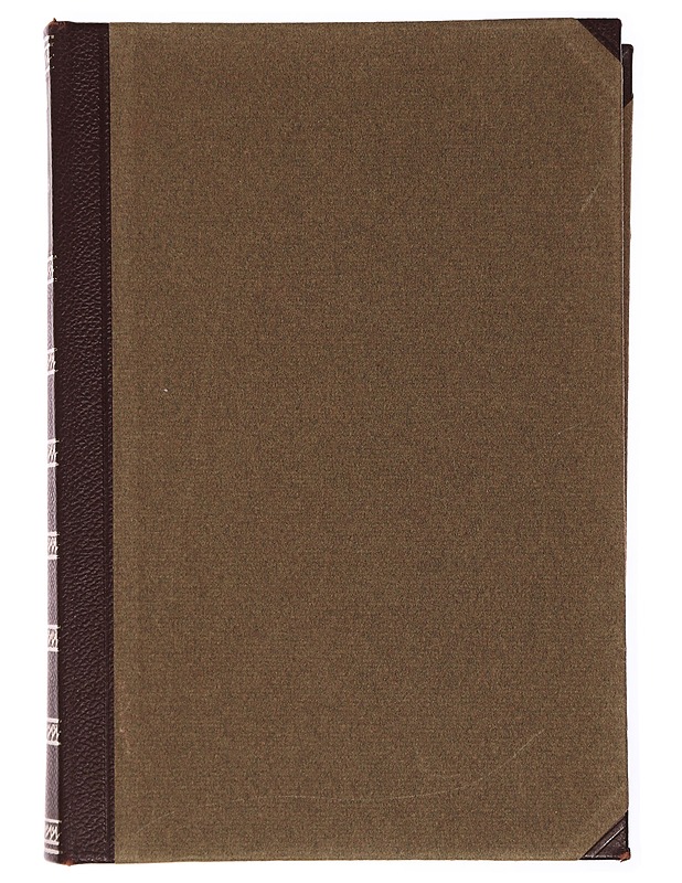 Suomen Kirjallisuuden antologia VI - Historiakirjat - 10105433360 - 1