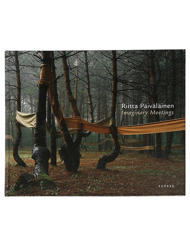 Imaginary meetings - Riitta Päiväläinen - Taide- ja kulttuurikirjat - 10105433423 - 0