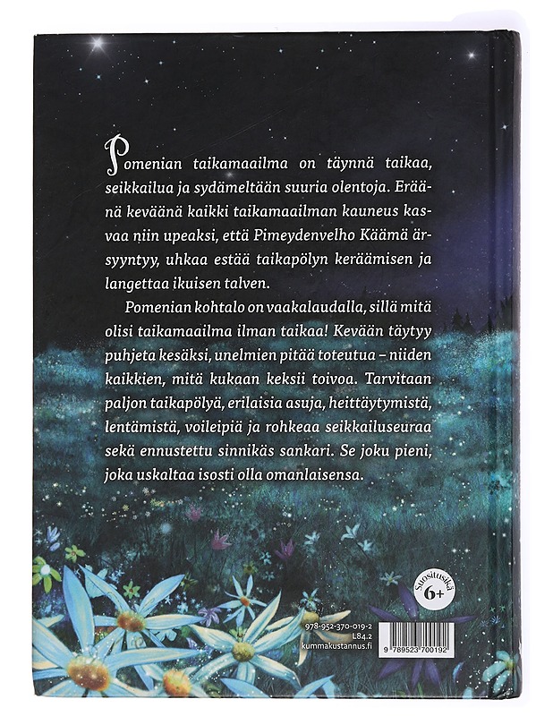 Taikamaailman suuri seikkailu - Petronella Grahn - Lastenkirjat - 10105433626 - 1