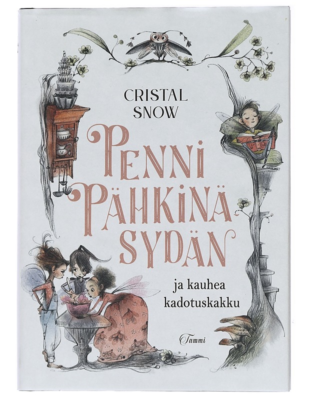 Penni Pähkinäsydän ja kauhea kadotuskakku - Snow, Cristal - Lastenkirjat - 10105433753 - 0