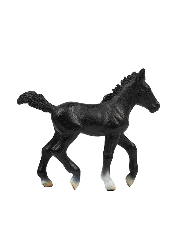 SCHLEICH Lipizzanhevosen varsa - Lasten lelut - 10105433838 - 0