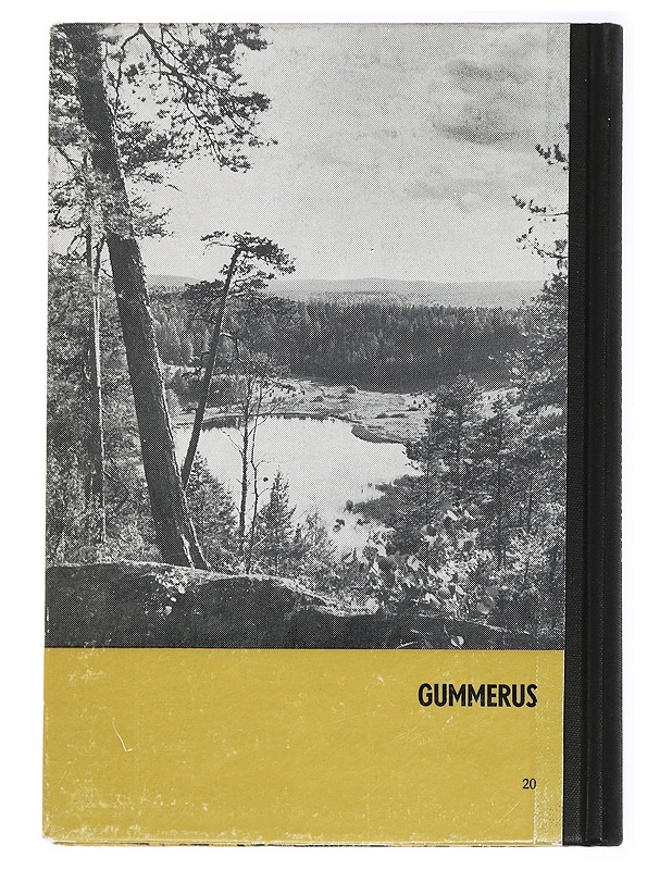 Keski-Suomen kotiseutulukemisto - Heikki Jylhä (toim.) - Historiakirjat - 10105433918 - 1