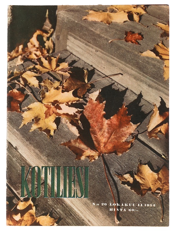 Kotiliesi : N:o 20 ; lokakuu 1954 - Harrastekirjat - 10105433921 - 0