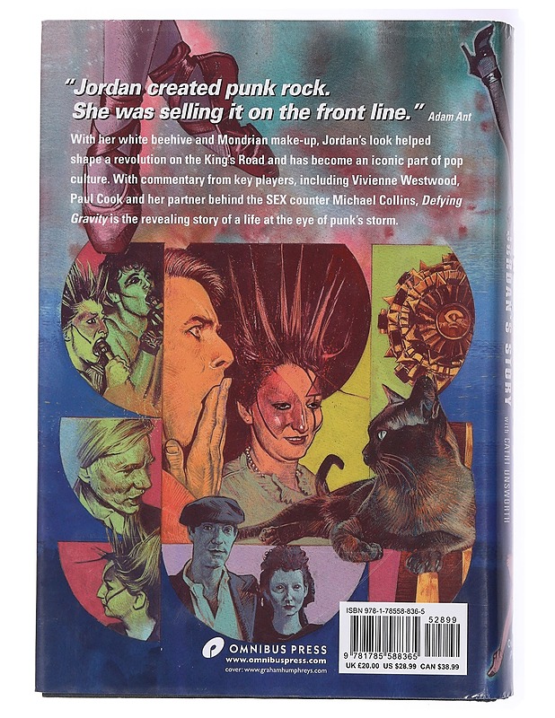 Defying gravity : Jordan's story - Mooney, Jordan - Elämäkerrat ja muistelmat - 10105433982 - 1