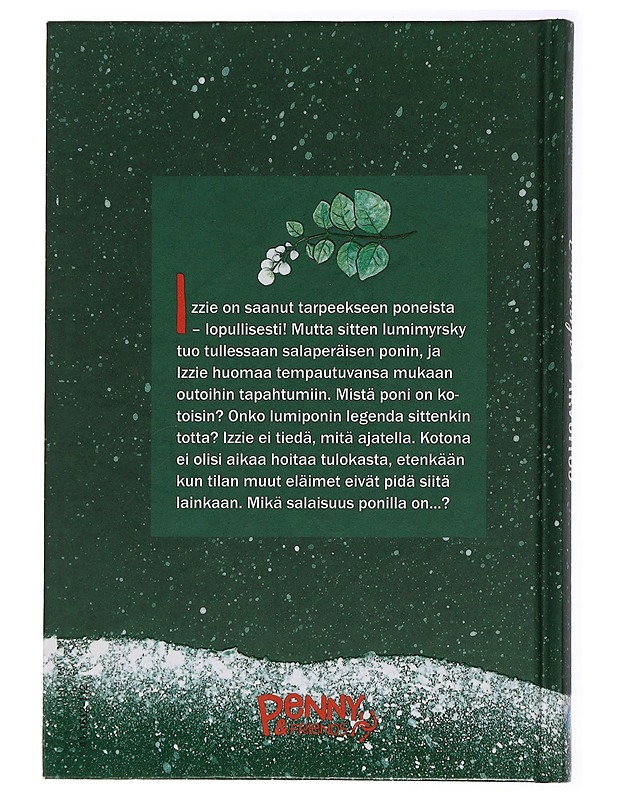 Lumimarjan arvoitus - Kavanagh, Pamela - Nuorten kirjat - 10105434033 - 1