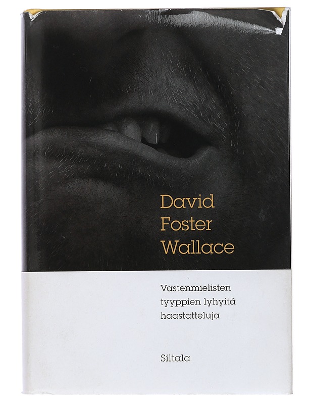 Vastenmielisten tyyppien lyhyitä haastatteluja - Wallace, David Foster - Romaanit ja novellit - 10105434781 - 0