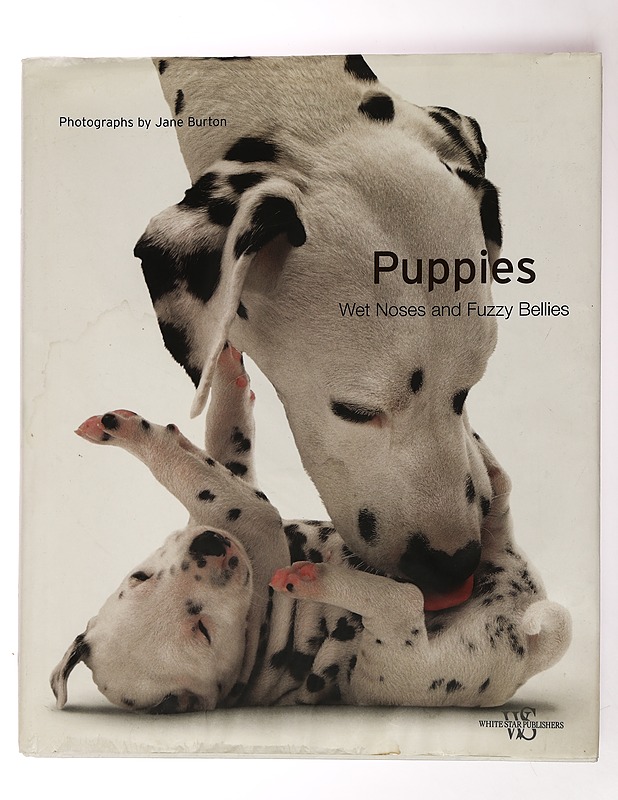 Puppies. Wet Noses and Fuzzy Bellies - Valeria de Fabianis - Harrastekirjat - 10105434871 - 0