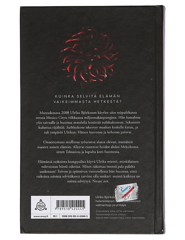 Nouse nyt : kuinka selvisin vakavasta onnettomuudesta - Björkstam, Ulrika - Elämäkerrat ja muistelmat - 10105435161 - 1