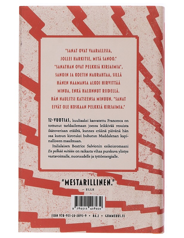 En pelkää mitään - Salvioni, Beatrice - Romaanit ja novellit - 10105435189 - 1