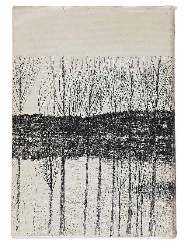 Jyväskylän kaupungin rakennukset ja asukkaat 1837 - 1880 - Sirkka Valjakka - Tietokirjat ja oppaat - 10105435246 - 1