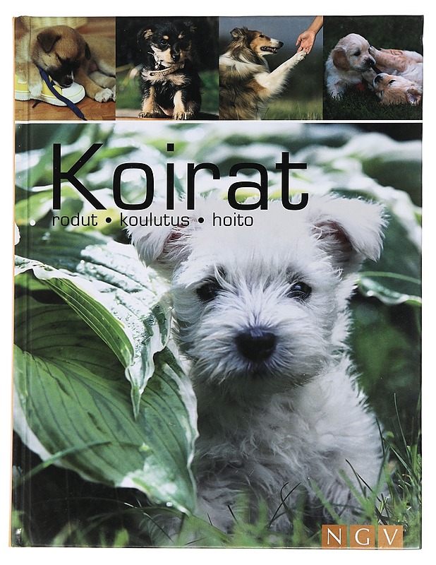 Koirat : rodut, koulutus ja hoito - Willms, Barbara - Tietokirjat ja oppaat - 10105435278 - 0