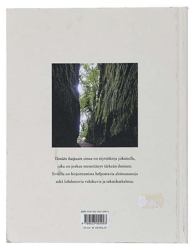 Tänään kaipasin sinua : surutyökirja läheisensä menettäneelle - Milla Popova - Hyvinvointikirjat - 10105435354 - 1