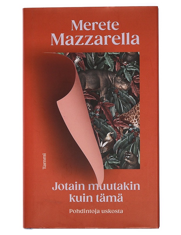 Jotain muutakin kuin tämä : pohdintoja uskosta - Mazzarella, Merete - Elämäkerrat ja muistelmat - 10105435374 - 0
