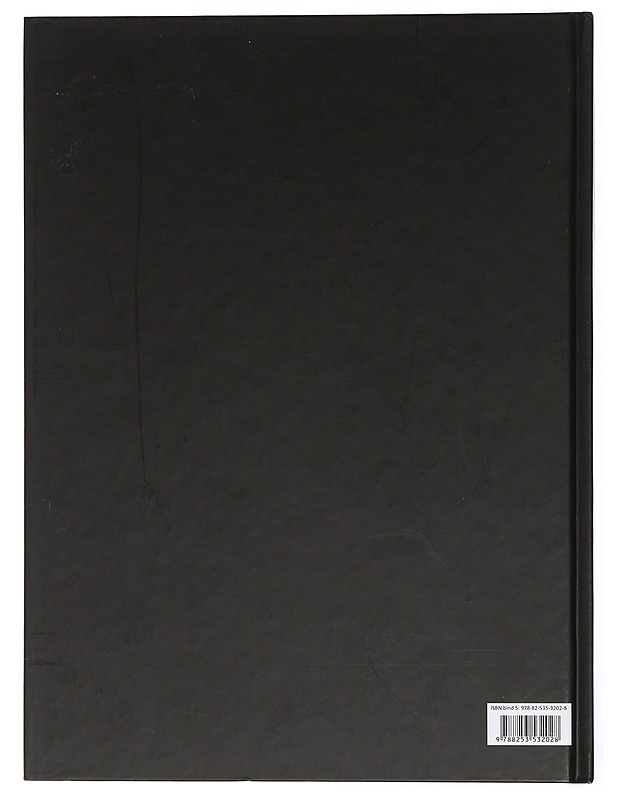 Viikinkien valtakunta - Christensen, Else - Historiakirjat - 10105435844 - 1