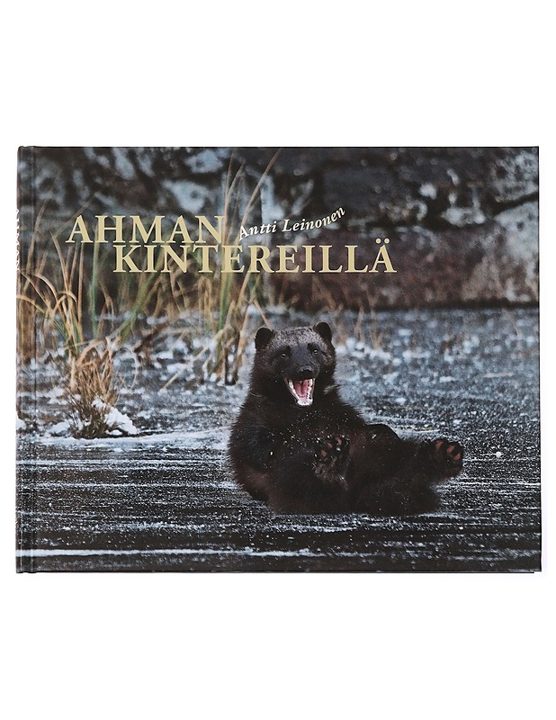 Ahman kintereillä - Antti Leinonen - Tietokirjat ja oppaat - 10105436031 - 0