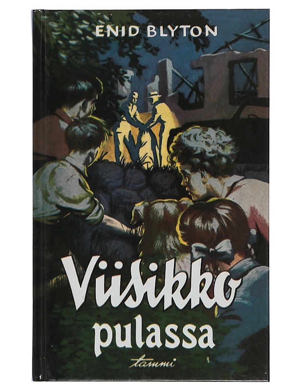Viisikko pulassa - Blyton, Enid - Lastenkirjat - 10105436026 - 0