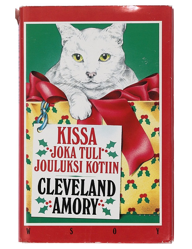 Kissa, joka tuli jouluksi kotiin - Amory, Cleveland - Joulukirjat - 10105436038 - 0