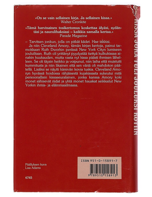 Kissa, joka tuli jouluksi kotiin - Amory, Cleveland - Joulukirjat - 10105436038 - 1
