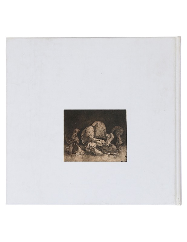 Kaarlo Hilden 1886-1963 - Anttonen, Erkki ; Ruokonen, Irja - Tietokirjat ja oppaat - 10105436048 - 1