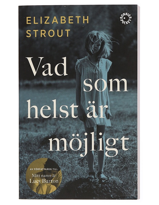 Vad som helst är möjligt - Strout, Elizabeth - Romaanit ja novellit - 10105436708 - 0