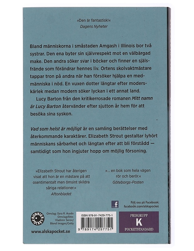 Vad som helst är möjligt - Strout, Elizabeth - Romaanit ja novellit - 10105436708 - 1