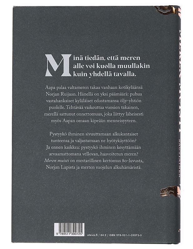 Meren muisti - Petra Rautiainen - Romaanit ja novellit - 10105436816 - 1