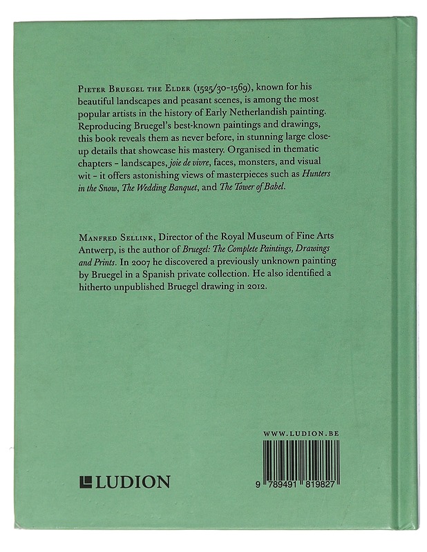 Bruegel in Detail - Manfred Sellink - Historiakirjat - 10105436912 - 1
