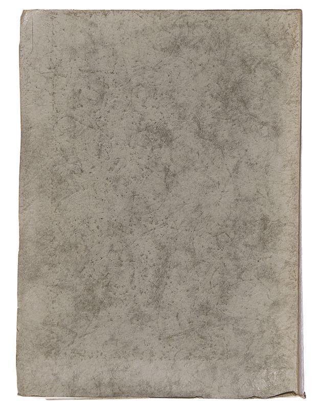 Taalintehtaan rautaruukki - TH. Svedlin - Historiakirjat - 10105436982 - 1