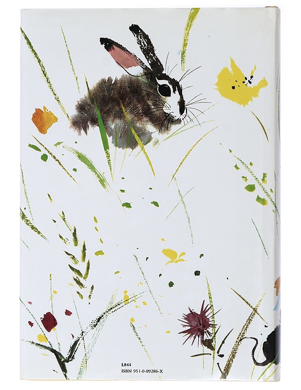 Grimmin satukirja - Grimm, Jacob - Lastenkirjat - 10105437067 - 1