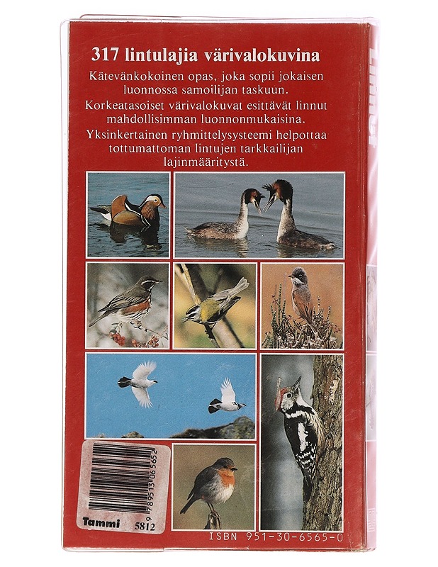 Linnut : määritysopas - Nicolai, Jürgen - Tietokirjat ja oppaat - 10105437176 - 1